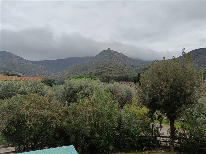 casa indipendente in vendita a Capoliveri