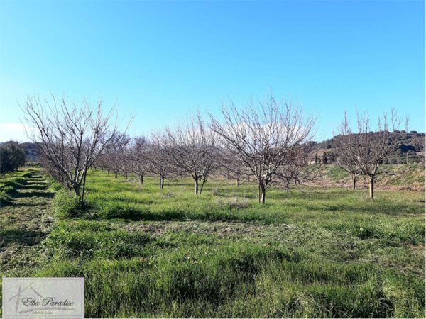 terreno agricolo in vendita a Capoliveri in zona Madonna delle Grazie