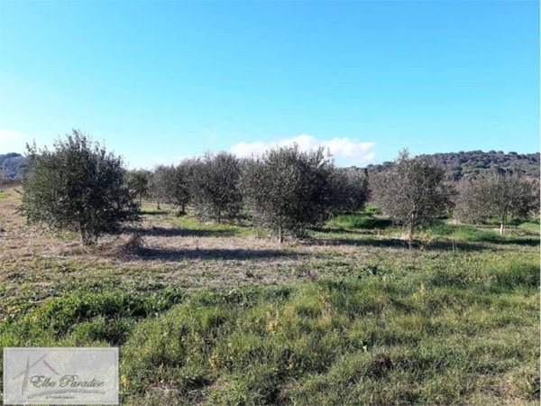 terreno agricolo in vendita a Capoliveri