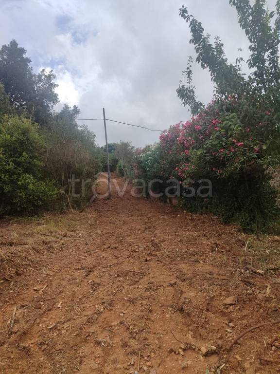 casa indipendente in vendita a Capoliveri