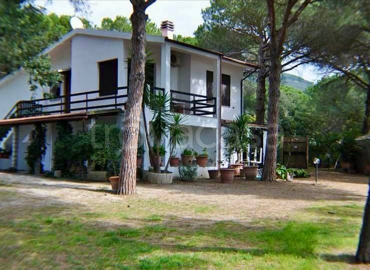 casa indipendente in vendita a Capoliveri in zona Lacona