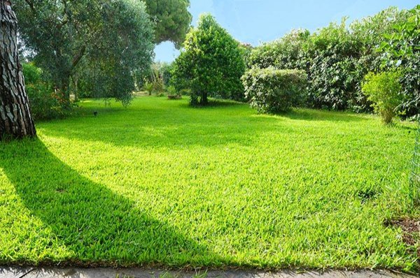 casa indipendente in vendita a Capoliveri in zona Lacona