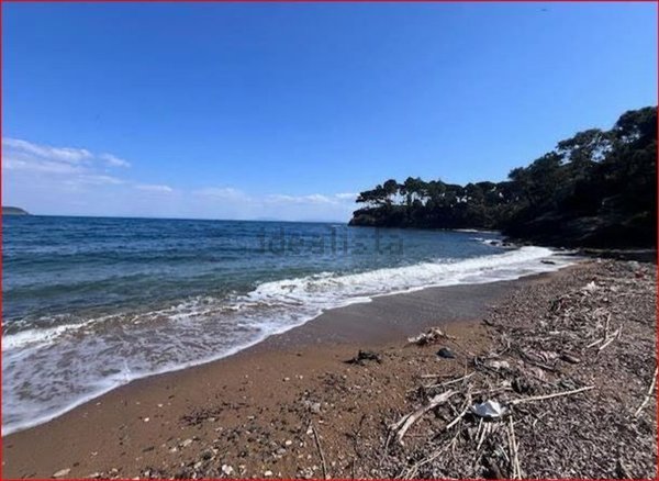casa indipendente in vendita a Capoliveri