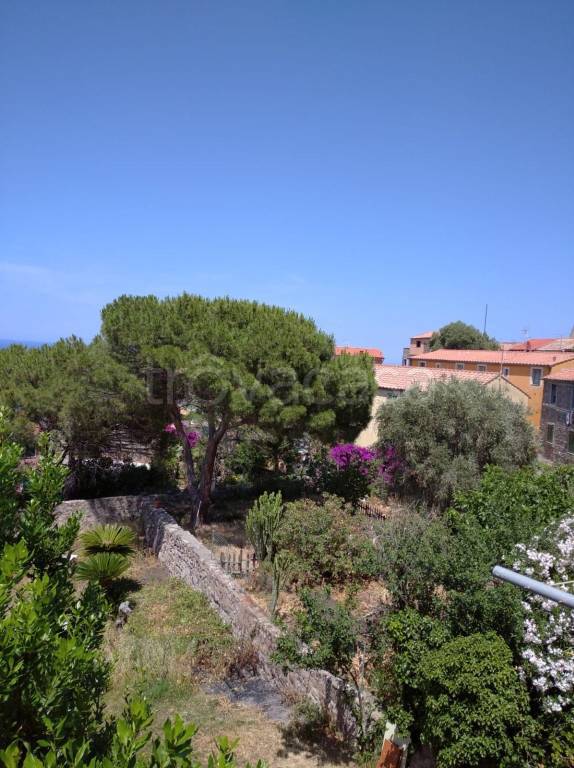 appartamento in vendita a Capraia Isola