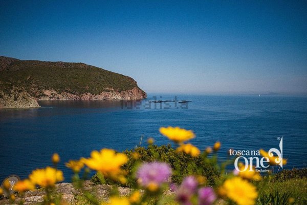 casa indipendente in vendita a Capraia Isola in zona Porto