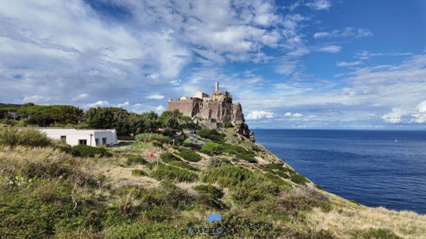 appartamento in vendita a Capraia Isola