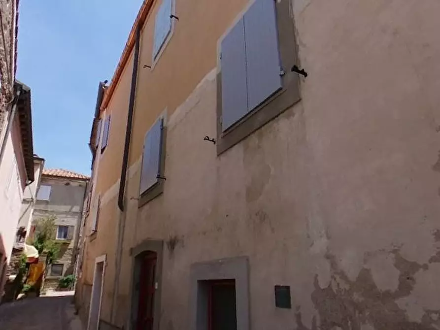 appartamento in vendita a Capraia Isola