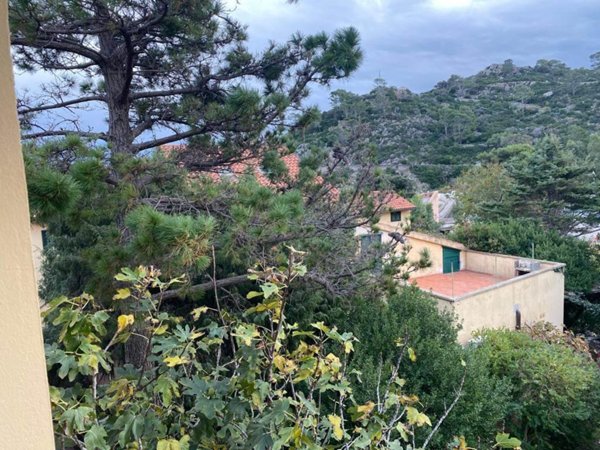 appartamento in vendita a Capraia Isola in zona Porto