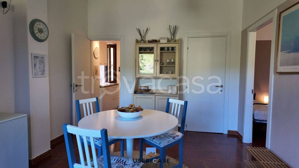 appartamento in vendita a Capraia Isola