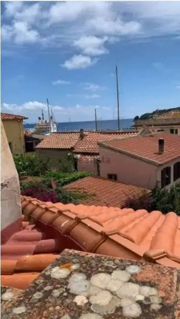 appartamento in vendita a Capraia Isola in zona Porto