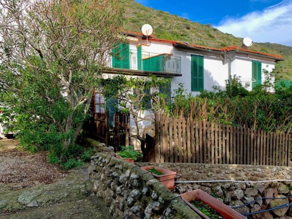 appartamento in vendita a Capraia Isola in zona Porto