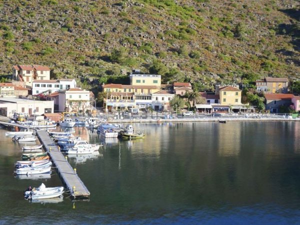 appartamento in vendita a Capraia Isola