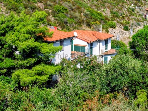 appartamento in vendita a Capraia Isola in zona Porto