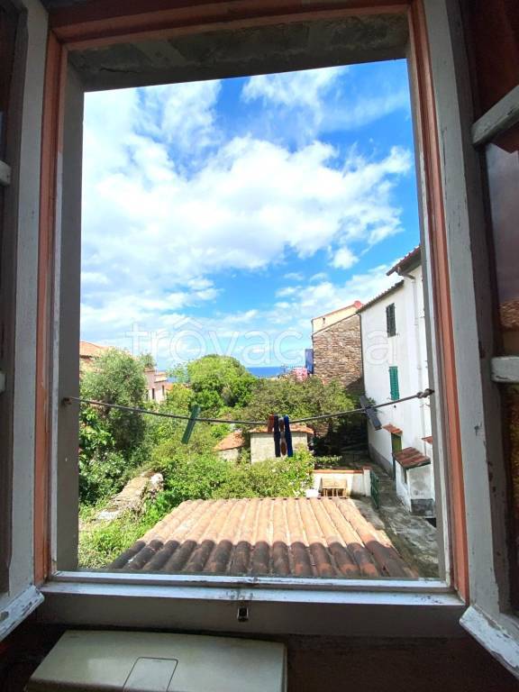 appartamento in vendita a Capraia Isola in zona Porto