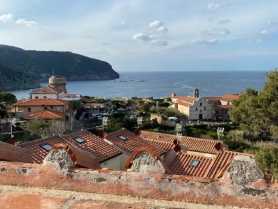 appartamento in vendita a Capraia Isola