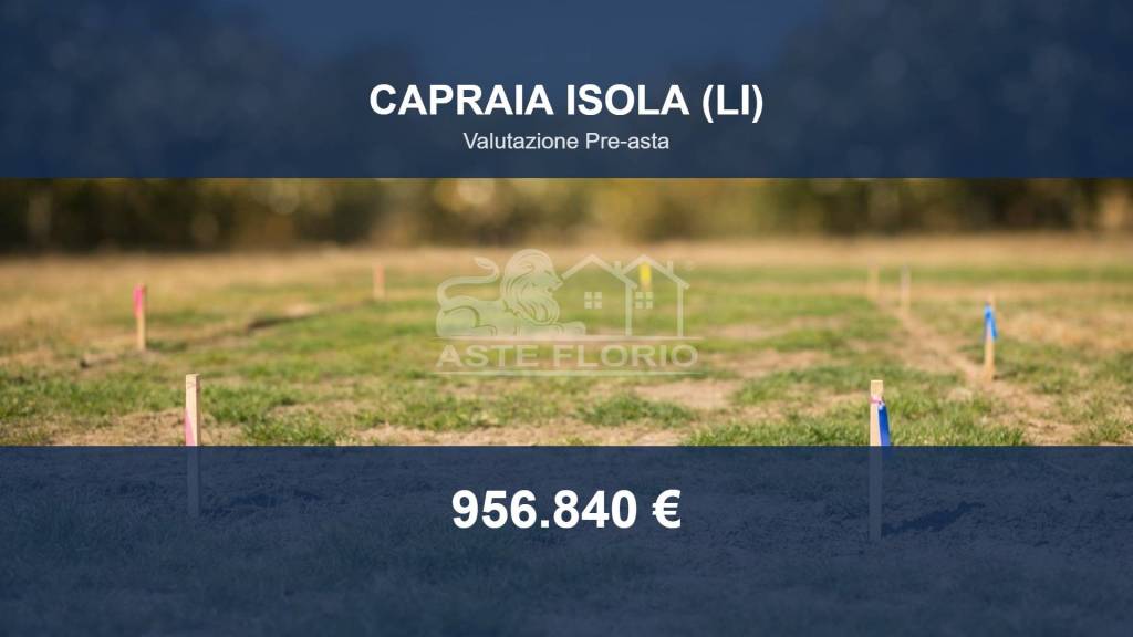 terreno agricolo in vendita a Capraia Isola in zona Porto