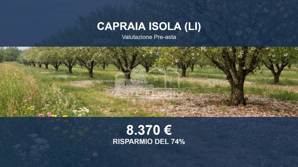 terreno agricolo in vendita a Capraia Isola