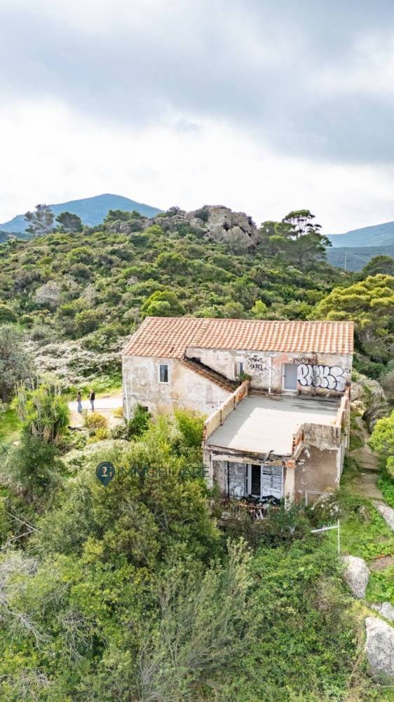 casa indipendente in vendita a Capraia Isola in zona Porto