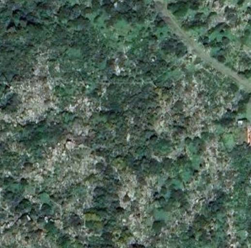 terreno agricolo in vendita a Capraia Isola