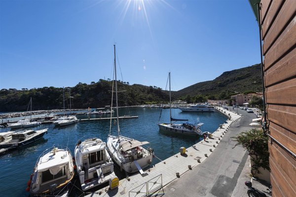appartamento in vendita a Capraia Isola in zona Porto