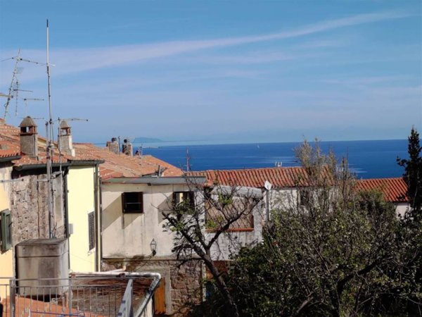 appartamento in vendita a Capraia Isola in zona Porto