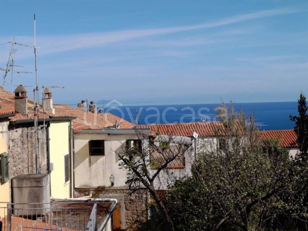 appartamento in vendita a Capraia Isola in zona Porto