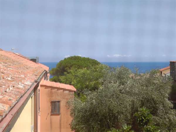 casa indipendente in vendita a Capraia Isola in zona Porto