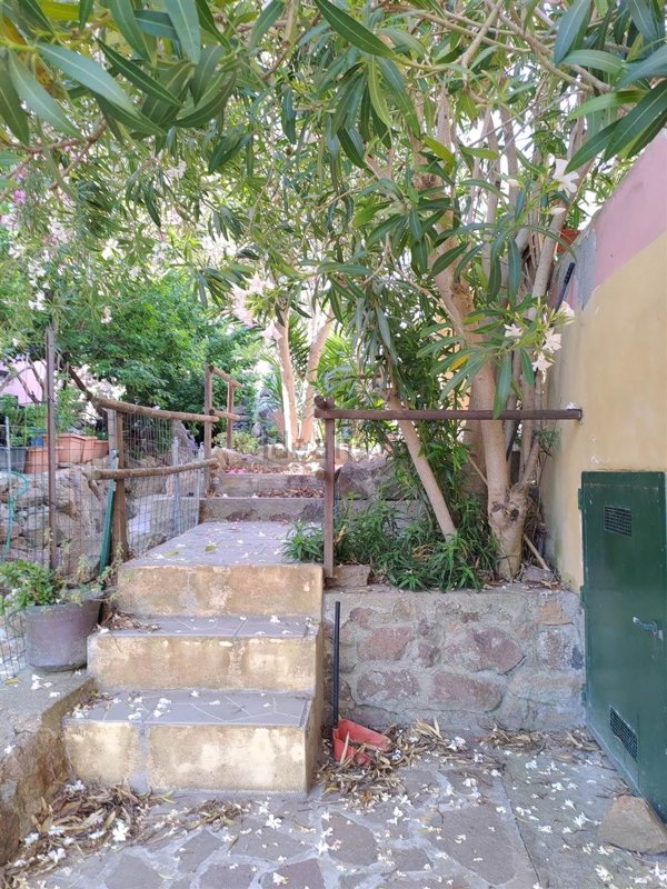 casa indipendente in vendita a Capraia Isola in zona Porto