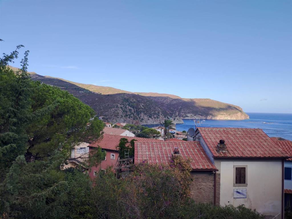 appartamento in vendita a Capraia Isola in zona Porto