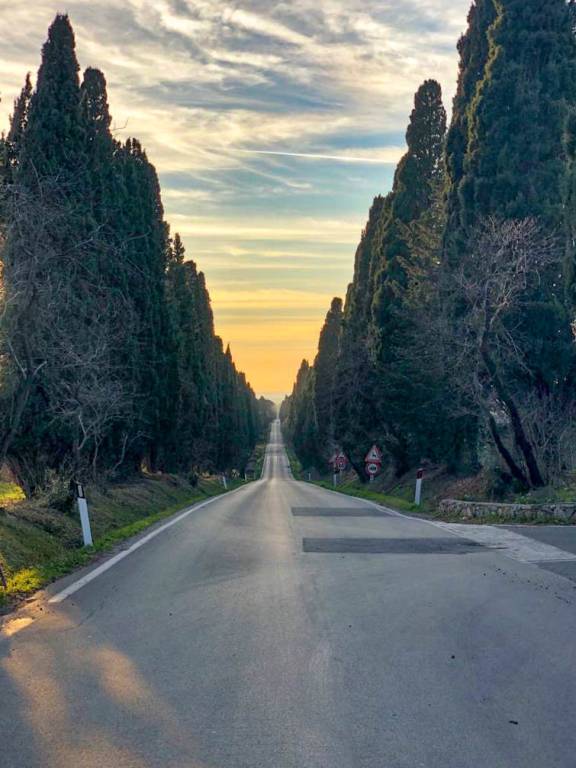 casa indipendente in vendita a Castagneto Carducci in zona Bolgheri