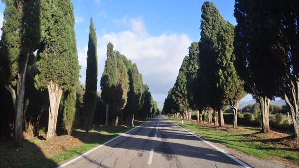 appartamento in vendita a Castagneto Carducci in zona Bolgheri