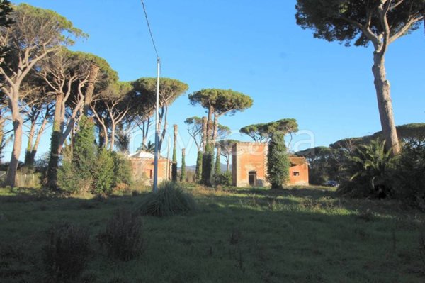 casa indipendente in vendita a Castagneto Carducci in zona Bolgheri