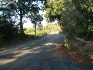 casa indipendente in vendita a Castagneto Carducci
