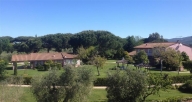 appartamento in vendita a Castagneto Carducci in zona Bolgheri