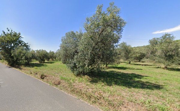 casa indipendente a Castagneto Carducci in zona Marina di Castagneto Carducci