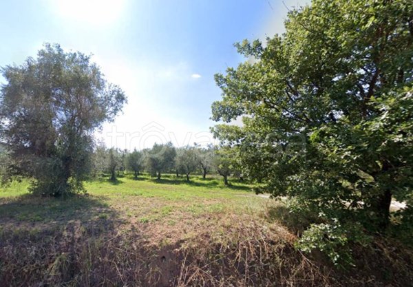 casa indipendente in vendita a Castagneto Carducci in zona Donoratico