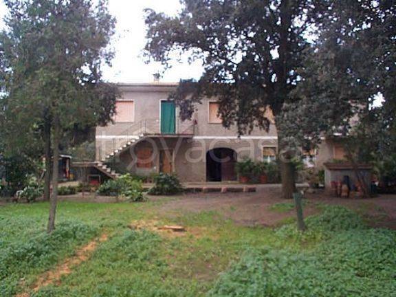 ufficio in vendita a Castagneto Carducci in zona Bolgheri
