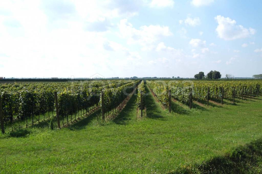 negozio in vendita a Castagneto Carducci in zona Bolgheri