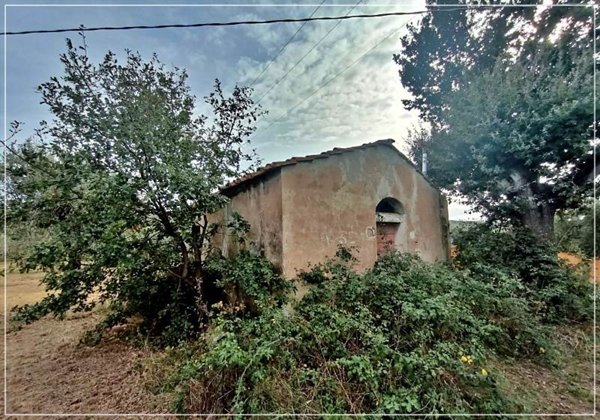 terreno agricolo in vendita a Castagneto Carducci