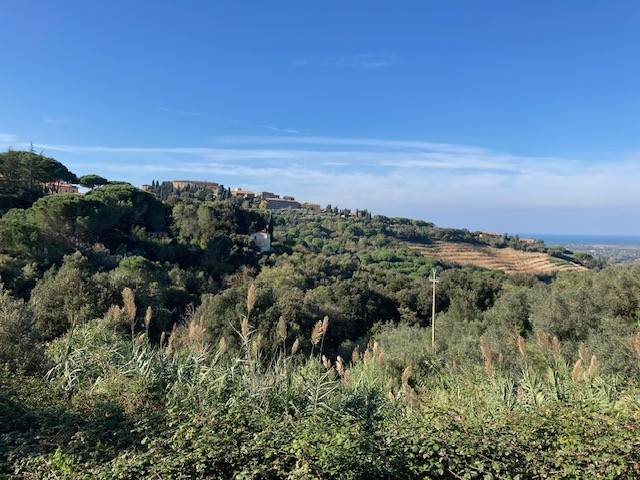 casa indipendente in vendita a Castagneto Carducci