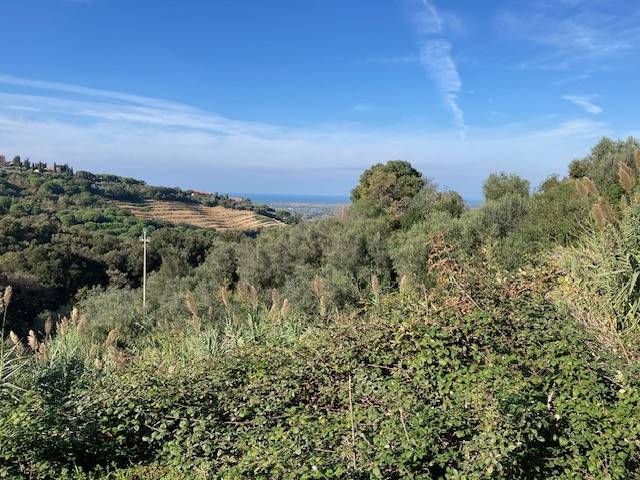 casa indipendente in vendita a Castagneto Carducci