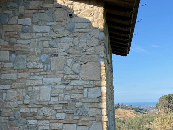 azienda agricola in vendita a Castagneto Carducci