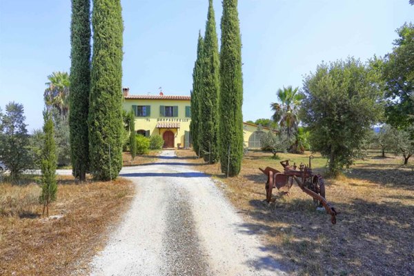 azienda agricola in vendita a Castagneto Carducci in zona Bolgheri