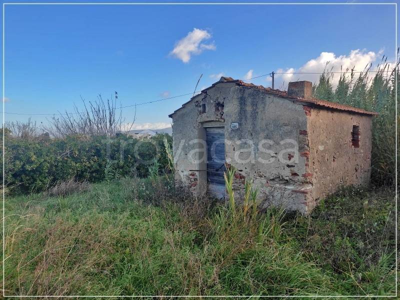 terreno agricolo in vendita a Castagneto Carducci in zona Donoratico