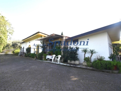 casa indipendente in vendita a Castagneto Carducci