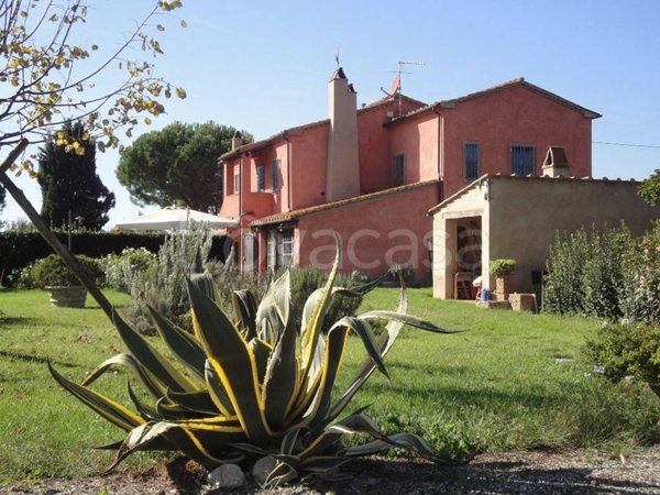 casa indipendente in vendita a Castagneto Carducci in zona Bolgheri