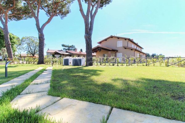 casa indipendente in vendita a Castagneto Carducci in zona Bolgheri