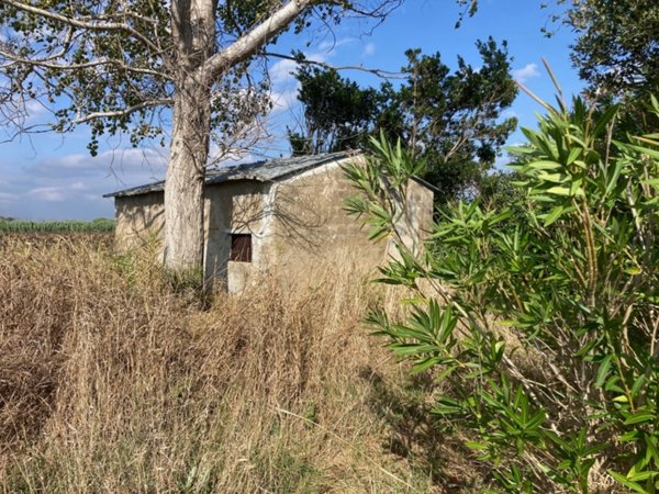 terreno agricolo in vendita a Castagneto Carducci in zona Donoratico