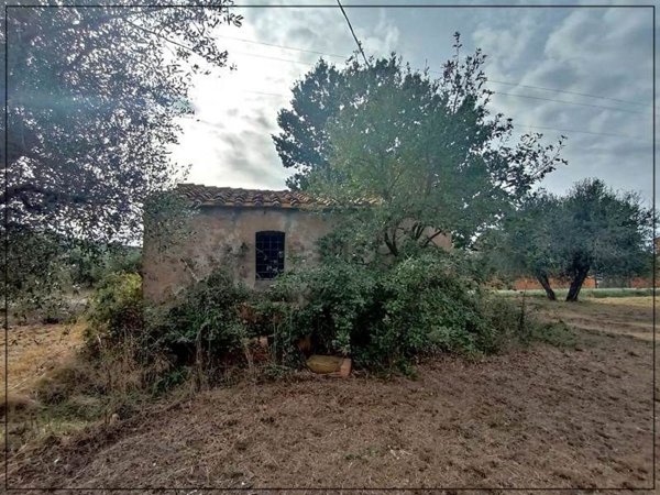 appartamento in vendita a Castagneto Carducci