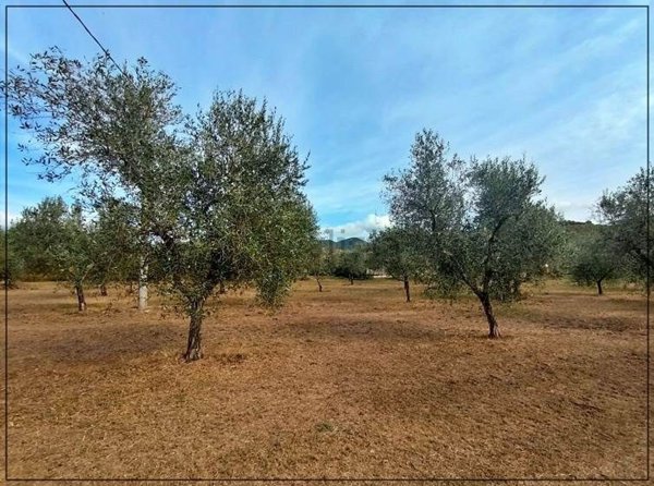 appartamento in vendita a Castagneto Carducci